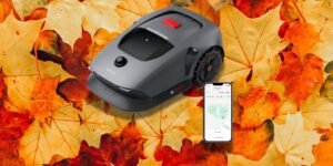 MOVA 1000 Testbericht